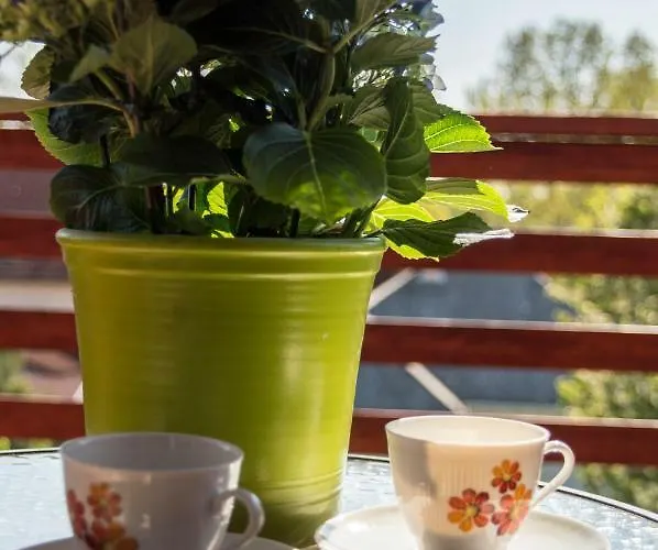 Casa de Férias Sunshine Velence